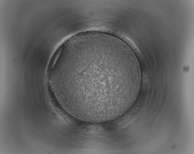 X0000091330628200708171351