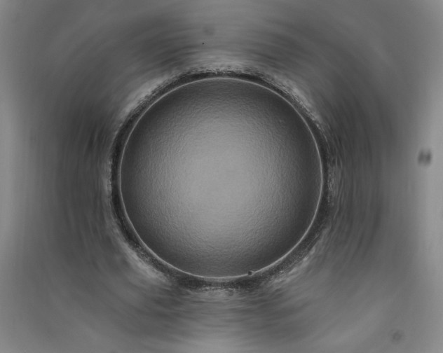 X0000091330629200708171351