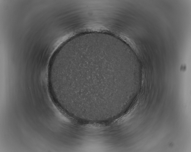 X0000091330630200708171351