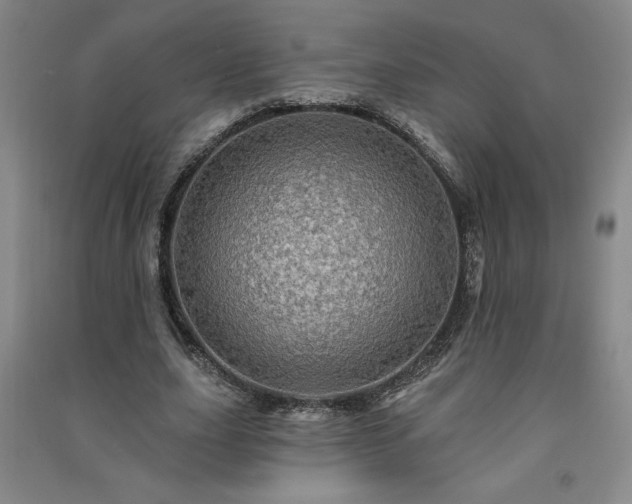 X0000091330631200708171351