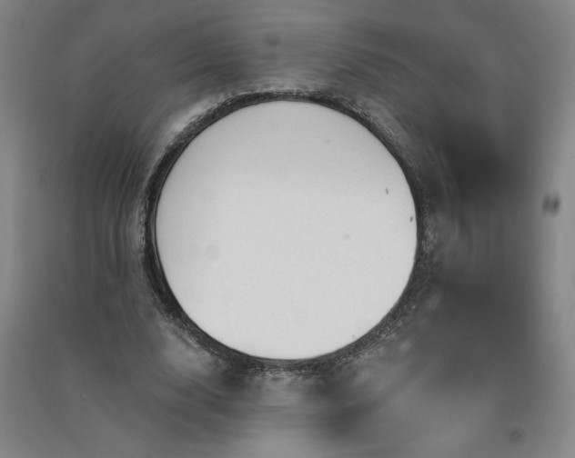 X0000091330632200708171351