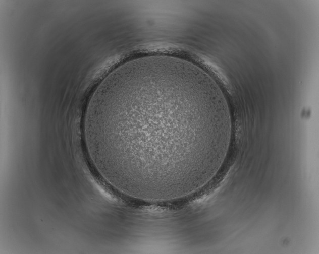 X0000091330633200708171351