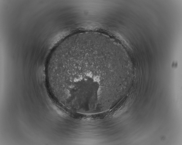 X0000091330634200708171351