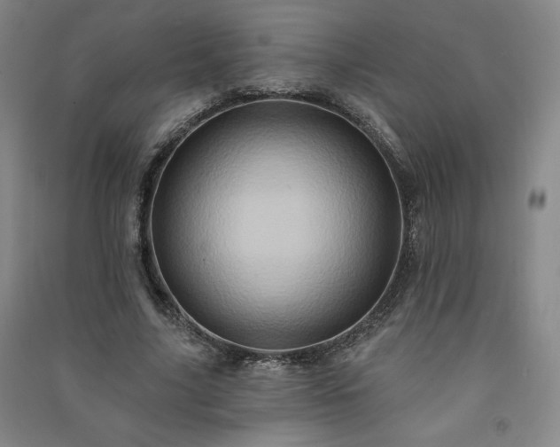 X0000091330635200708171351