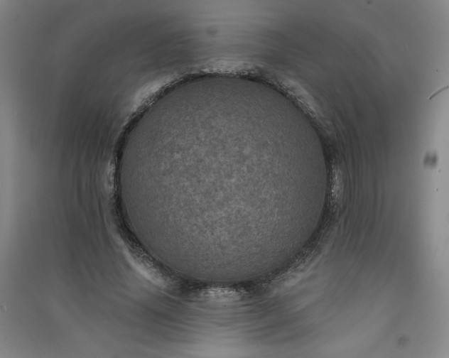 X0000091330636200708171351