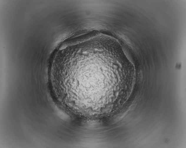 X0000091330638200708171351