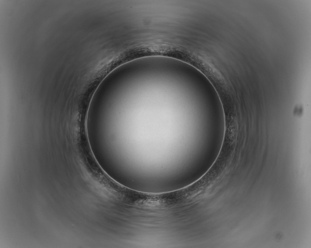 X0000091330639200708171351