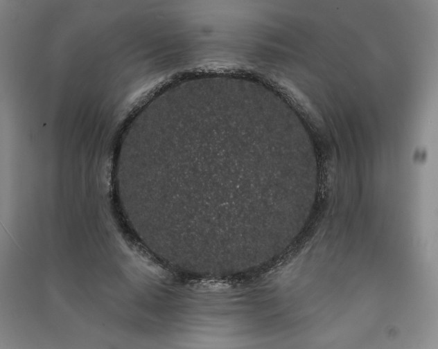 X0000091330640200708171351