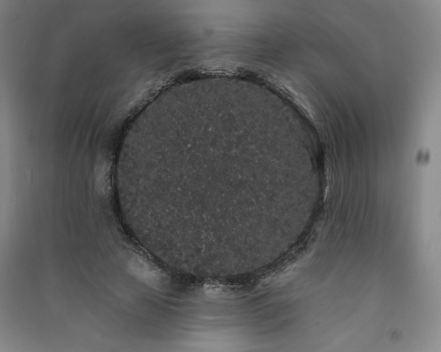 X0000091330641200708171352