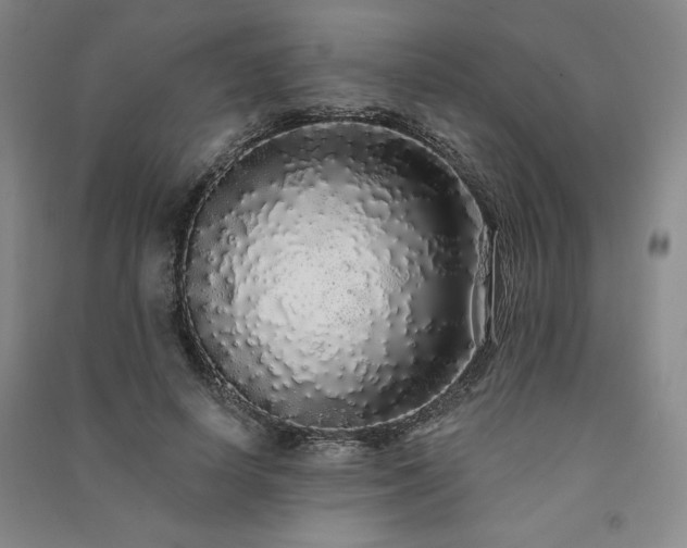 X0000091330642200708171352