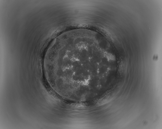 X0000091330643200708171352