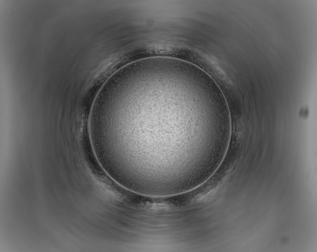 X0000091330645200708171352