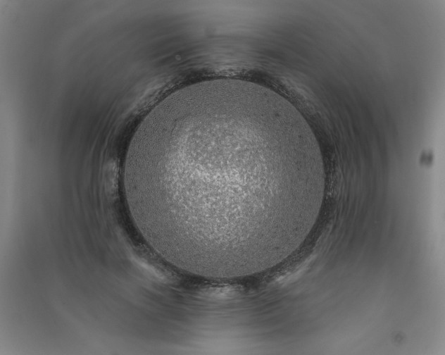 X0000091330646200708171352