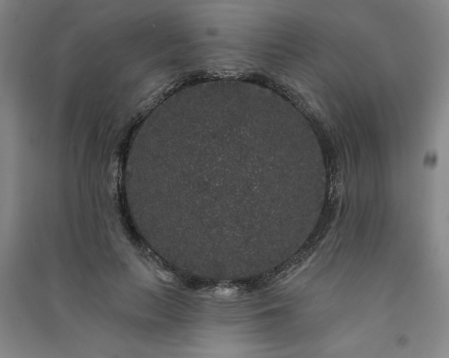 X0000091330647200708171352