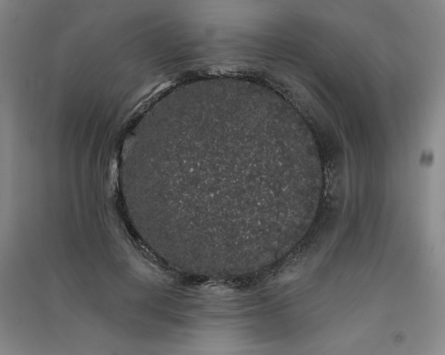 X0000091330648200708171352