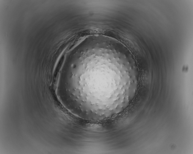 X0000091330649200708171352