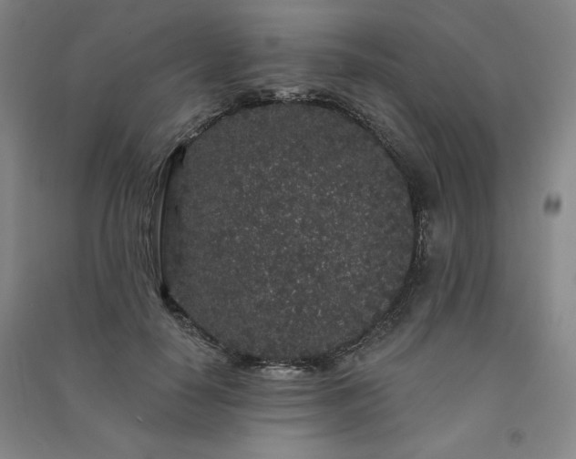 X0000091330650200708171352