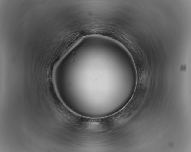 X0000091330651200708171352