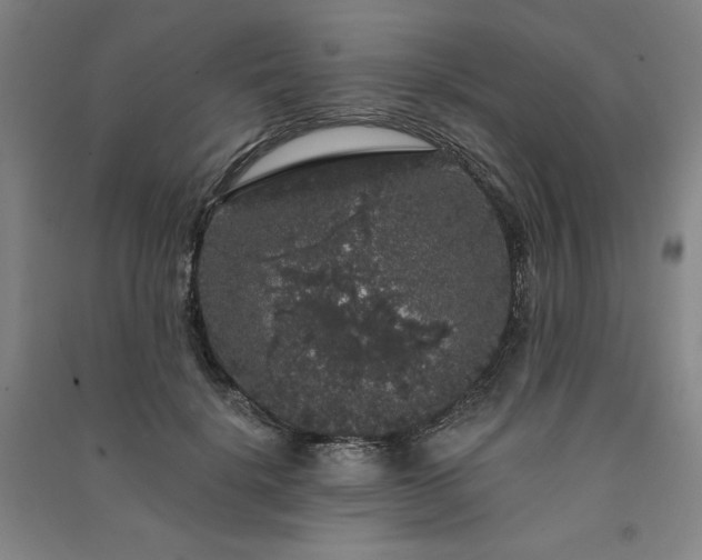 X0000091330652200708171352