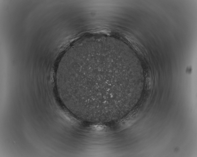 X0000091330654200708171352