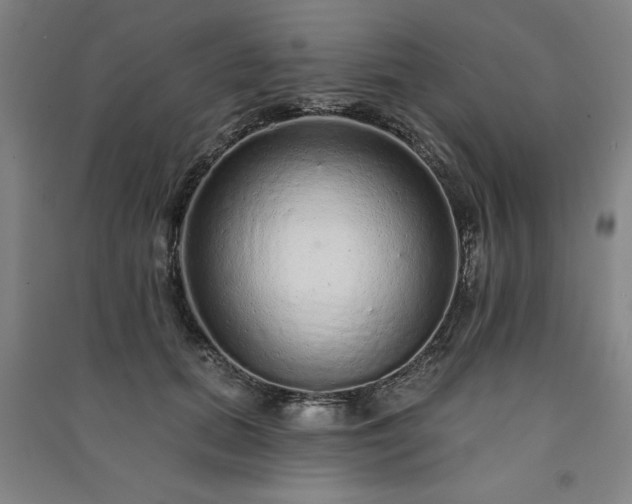 X0000091330655200708171352