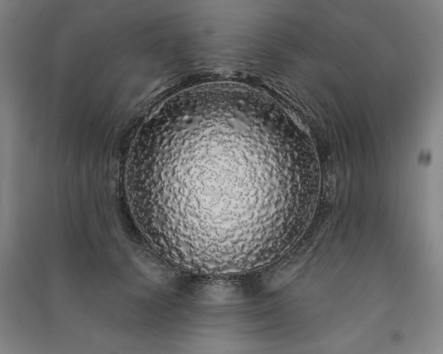 X0000091330656200708171352