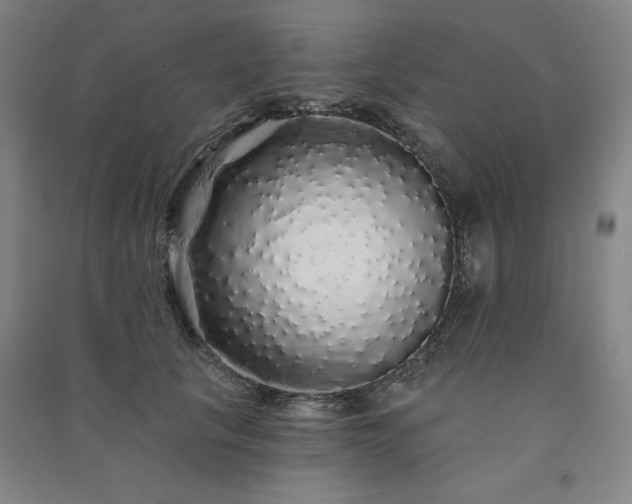 X0000091330657200708171352