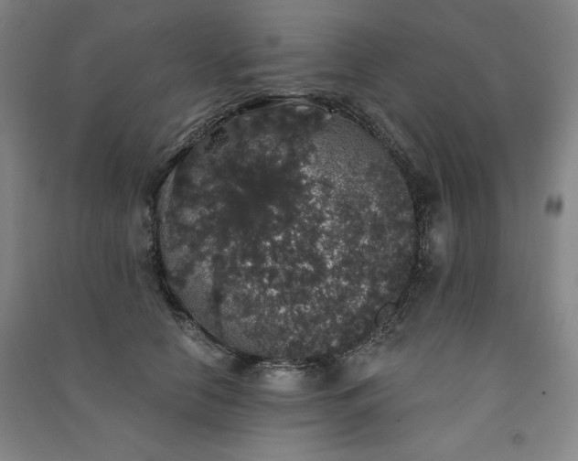 X0000091330658200708171352