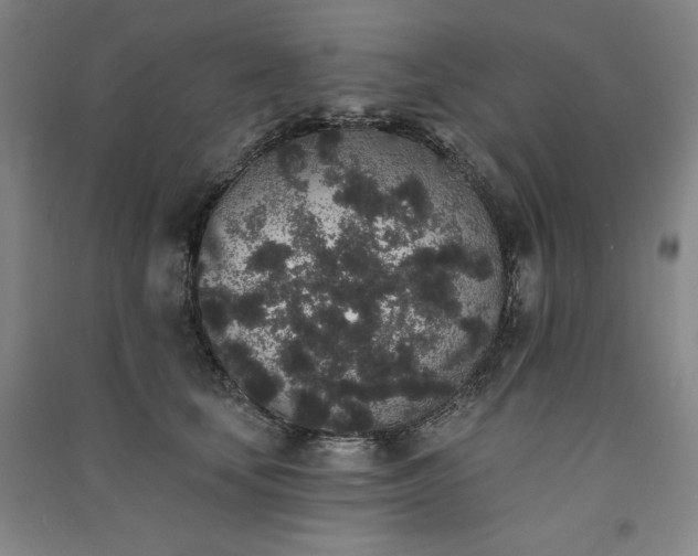 X0000091330659200708171352