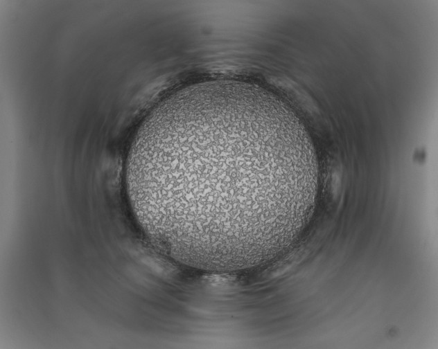 X0000091330660200708171352