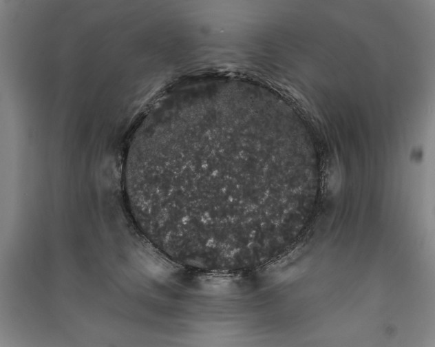 X0000091330661200708171352