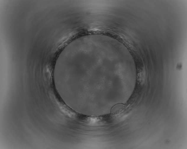 X0000091330662200708171352