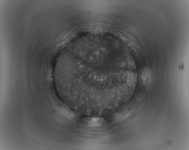 X0000091330663200708171352