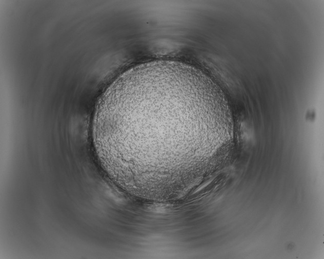 X0000091330664200708171352