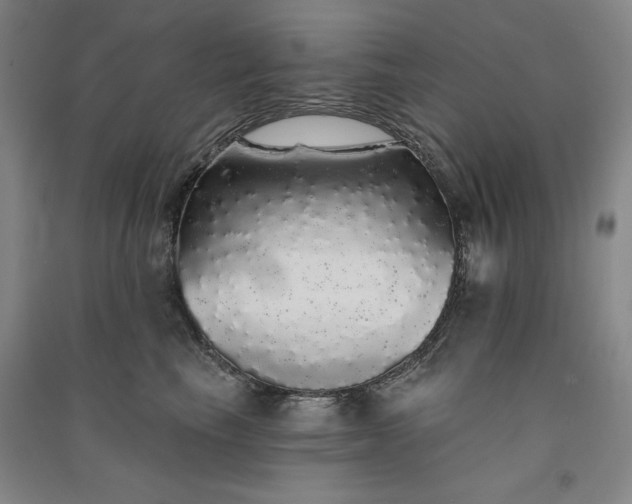 X0000091330665200708171352