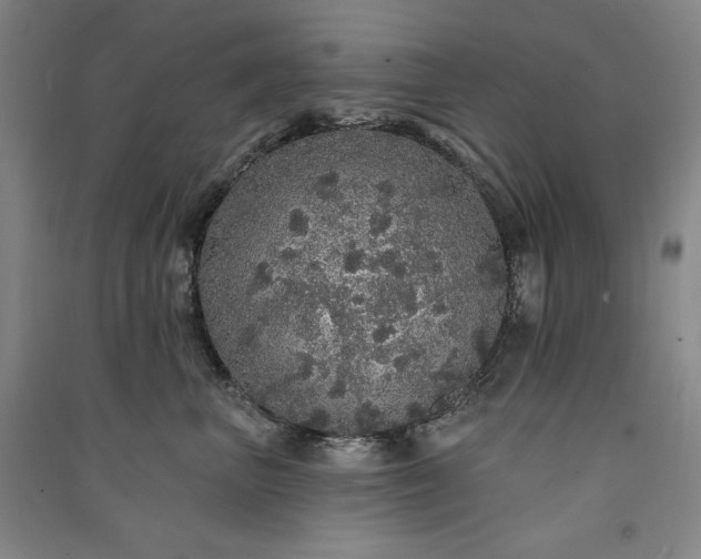 X0000091330667200708171352