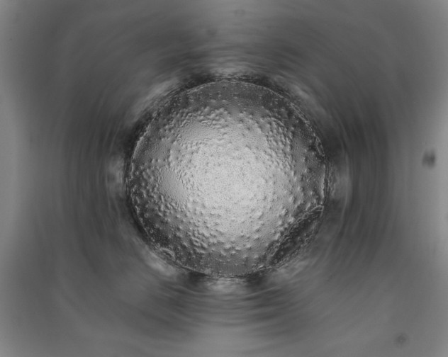 X0000091330670200708171352