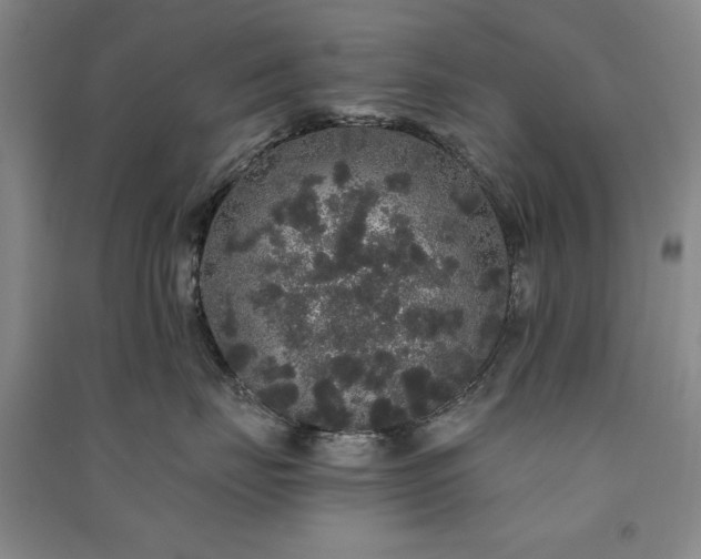 X0000091330671200708171352