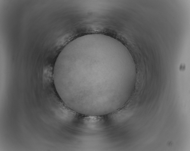 X0000091330672200708171352