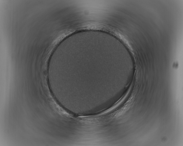 X0000091330673200708171351