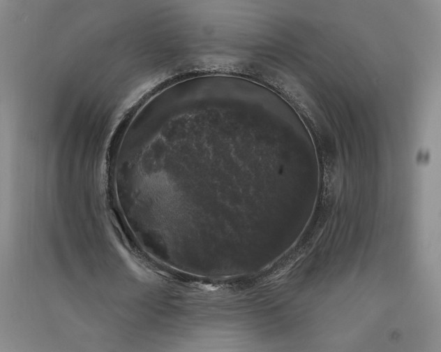 X0000091330674200708171351