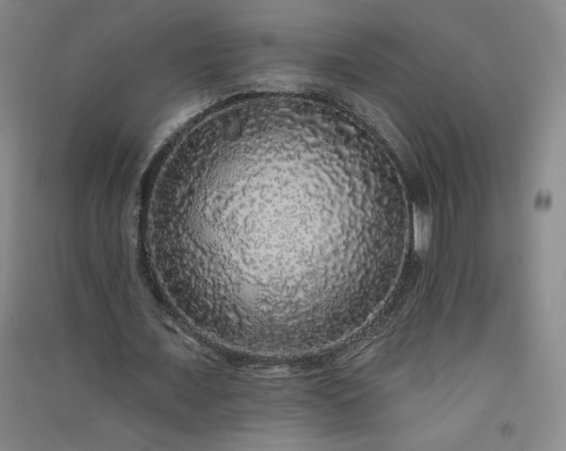 X0000091330675200708171351