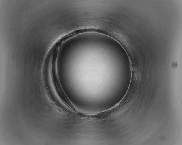 X0000091330676200708171351