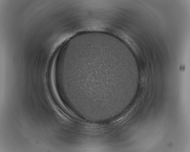 X0000091330677200708171351