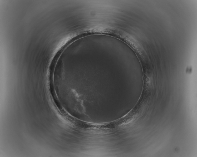 X0000091330678200708171351