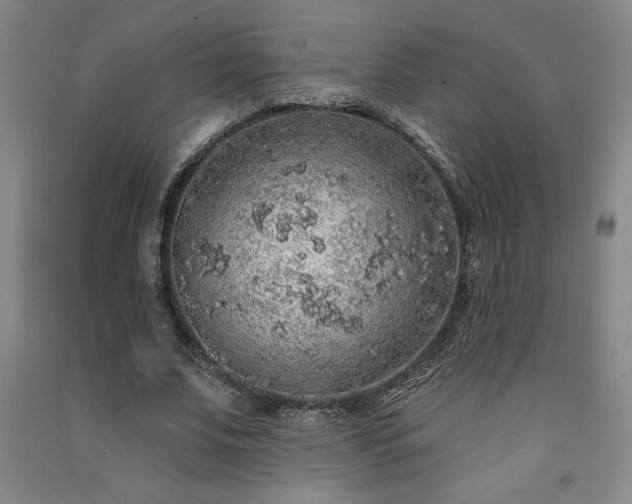 X0000091330679200708171351