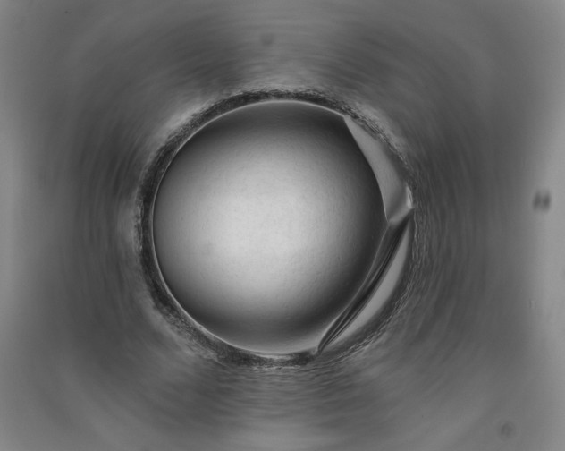 X0000091330680200708171351