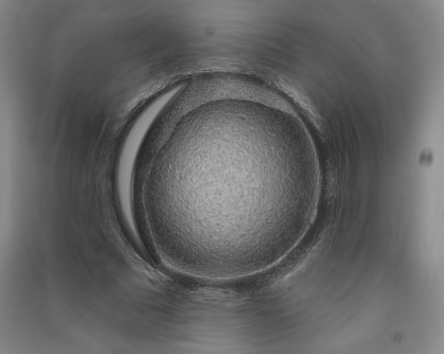 X0000091330681200708171351