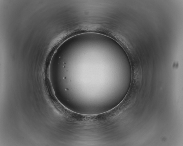 X0000091330682200708171351