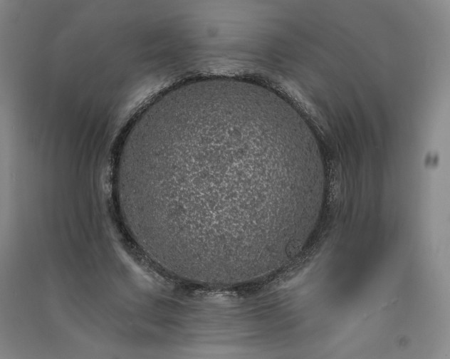 X0000091330683200708171351